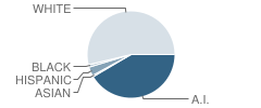 Pryor High School Student Race Distribution