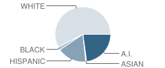 Purcell Intermediate School (Is) Student Race Distribution