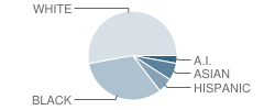 Hefner Middle School Student Race Distribution