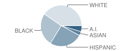 Central Intermediate Elementary School (Ies) Student Race Distribution