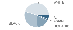 Western Oaks Elementary School Student Race Distribution