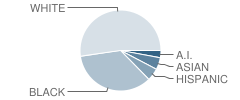 Will Rogers Elementary School Student Race Distribution