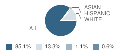 Rocky Mountain Elementary School Student Race Distribution