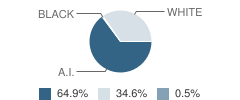 Salina Middle School Student Race Distribution