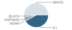 Sallisaw High School Student Race Distribution