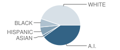 Jefferson Elementary School Student Race Distribution