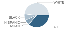 Will Rogers Elementary School Student Race Distribution