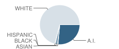 Newman Middle School Student Race Distribution