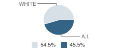 Smithville High School Student Race Distribution