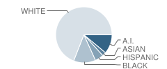 Skyline Elementary School Student Race Distribution