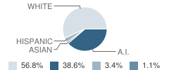 Stuart High School Student Race Distribution