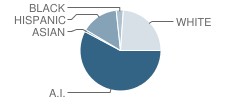 Cherokee Elementary School Student Race Distribution