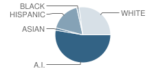 Greenwood Elementary School Student Race Distribution