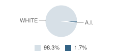 Taloga Elementary School Student Race Distribution