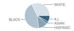 Carver Middle School Student Race Distribution