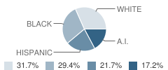 Cherokee Elementary School Student Race Distribution