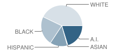 Clinton Middle School Student Race Distribution