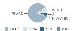 Houston Elementary School Student Race Distribution