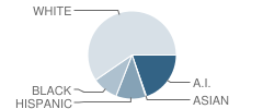 Robertson Elementary School Student Race Distribution