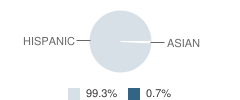 Newcomer International School Student Race Distribution