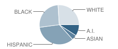 Cooper Elementary School Student Race Distribution