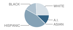 Mckinley Elementary School Student Race Distribution