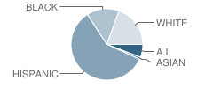 Peary Elementary School Student Race Distribution