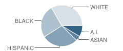 Salk Elementary School Student Race Distribution