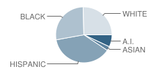 Skelly Elementary School Student Race Distribution