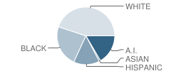 Wright Elementary School Student Race Distribution