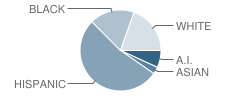 Disney Elementary School Student Race Distribution