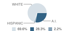 Tupelo High School Student Race Distribution