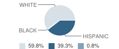 Turpin High School Student Race Distribution