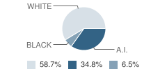 Tuskahoma Elementary School Student Race Distribution