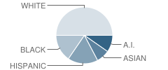 Union 8th Grade Center School Student Race Distribution