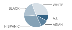 Boevers Elementary School Student Race Distribution