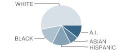 Union High School Student Race Distribution