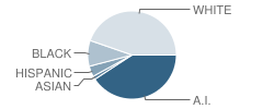 William R. Teague Elementary School Student Race Distribution