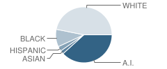 Wagoner High School Student Race Distribution