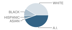 Central Intermediate Elementary School (Ies) Student Race Distribution