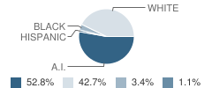 Weleetka Junior High School Student Race Distribution