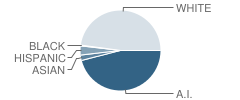 Westville Junior High School Student Race Distribution