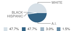 Wetumka High School Student Race Distribution