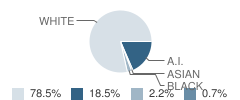 White Rock Elementary School Student Race Distribution