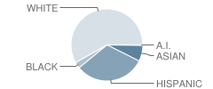 Liberty High School Student Race Distribution