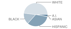 Robert S Farrell High School Student Race Distribution