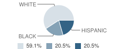 South Jetty High School Student Race Distribution