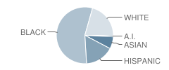 Jefferson High School Student Race Distribution