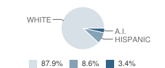 Falls City High School Student Race Distribution