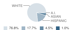 Farmington View Elementary School Student Race Distribution